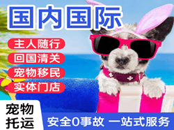 潍坊国际宠物托运 【国